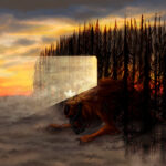 Forest Edge